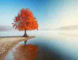 最‌新​AI助﻿手‍工‌具​